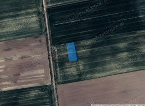Image category