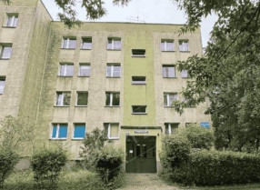 Image category