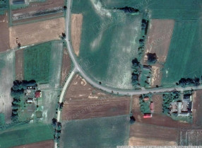 Image category