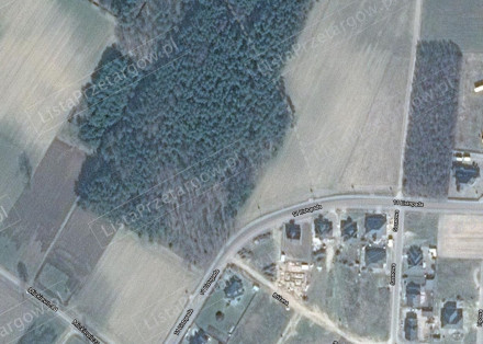 Image category