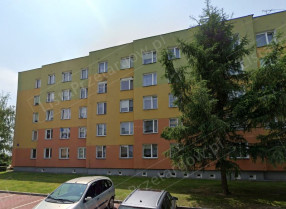 Image category