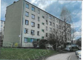 Image category