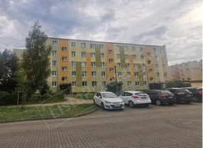 Image category