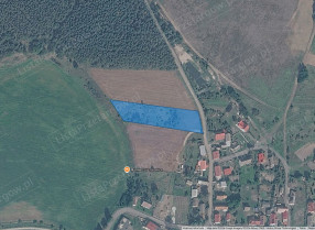 Nieruchomość