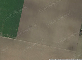 Image category