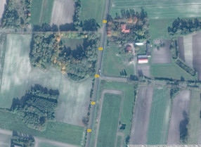 Image category