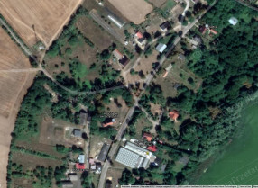 Image category
