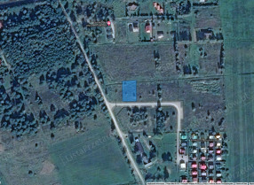 Image category