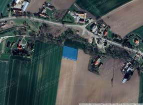 Image category