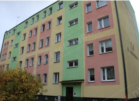 Image category