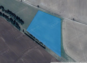 Image category