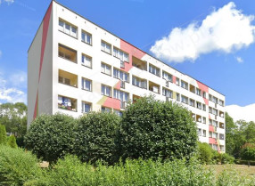 Image category