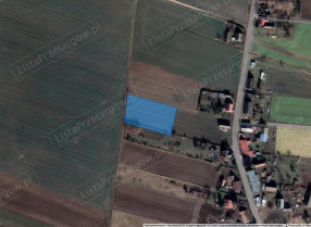 Image category
