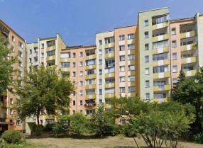 Image category