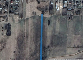 Image category