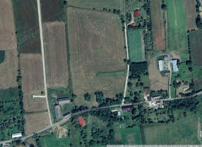 Image category
