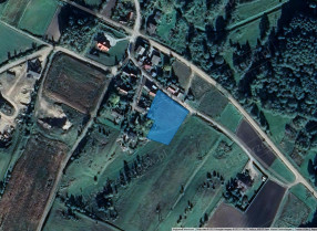 Image category