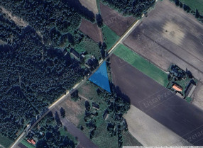Nieruchomość