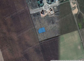 Image category