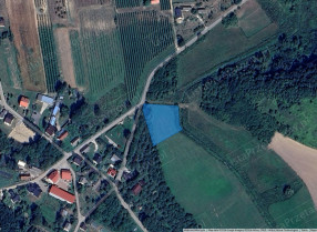 Nieruchomość