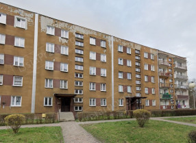 Image category
