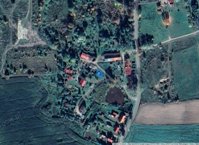 Image category