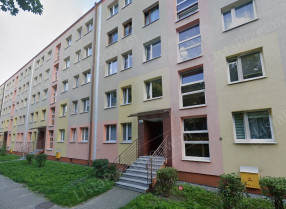 Image category