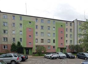 Image category