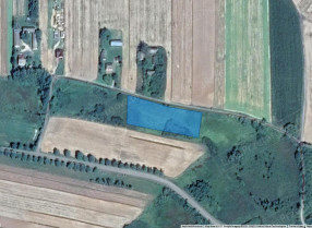 Nieruchomość