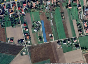 Image category