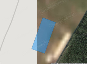 Image category