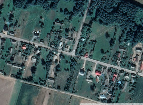 Image category