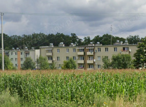 Nieruchomość