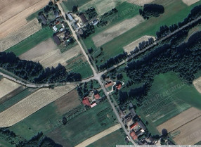 Image category