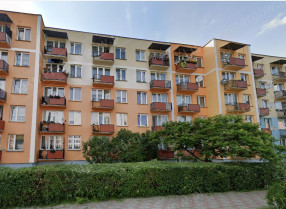 Image category