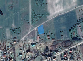 Image category
