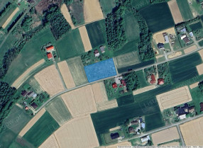 Image category