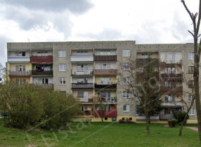 Image category
