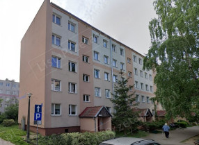 Image category