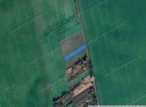 Image category