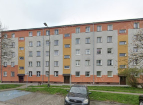 Image category