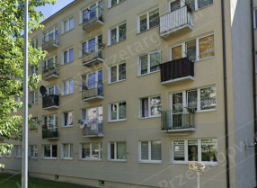 Image category