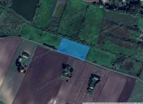 Image category