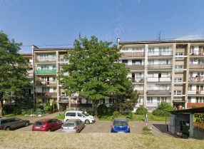 Image category