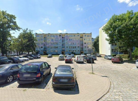 Image category