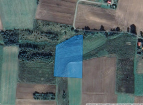 Image category