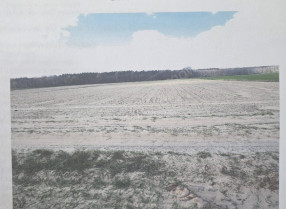 Zdjęcie nieruchomości