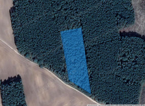 Image category