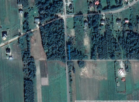 Image category