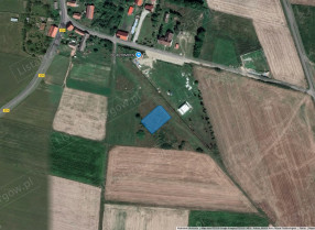 Image category
